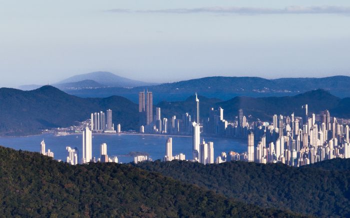 Entre selva e concreto