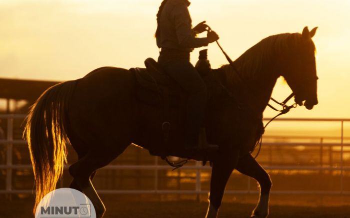 Vai ter rodeio e shows gratuitos em Camboriú