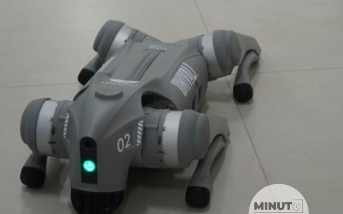 Univali ganha “cão-robô” e marca nova fase em pesquisas